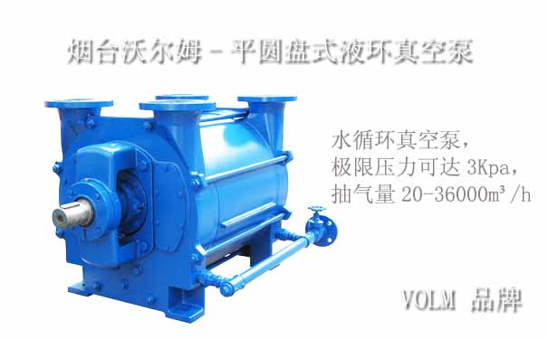 平圓盤式液環真空泵-沃爾姆品牌 平圓盤式液環真空泵-沃爾姆品牌