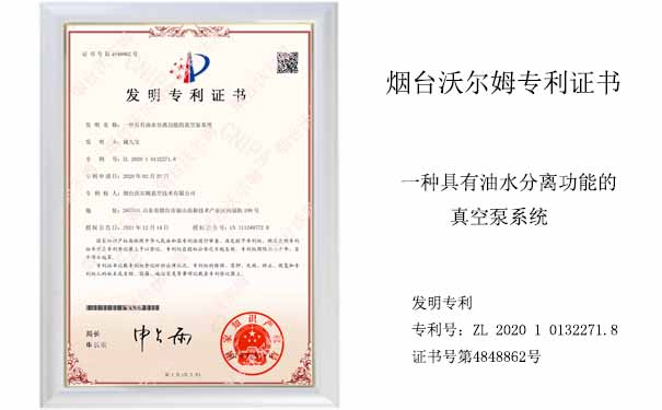 一種具有油水分離功能的真空泵系統_沃爾姆真空泵廠家發明專利